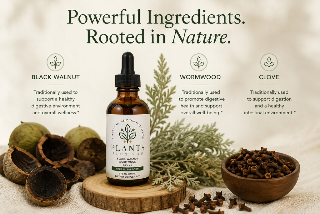 Herbal Digestive Support