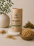 Irish Sea Moss