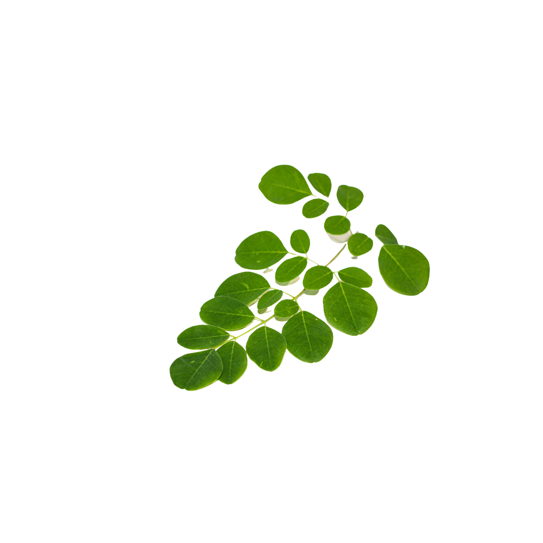 Moringa Leaf Capsules